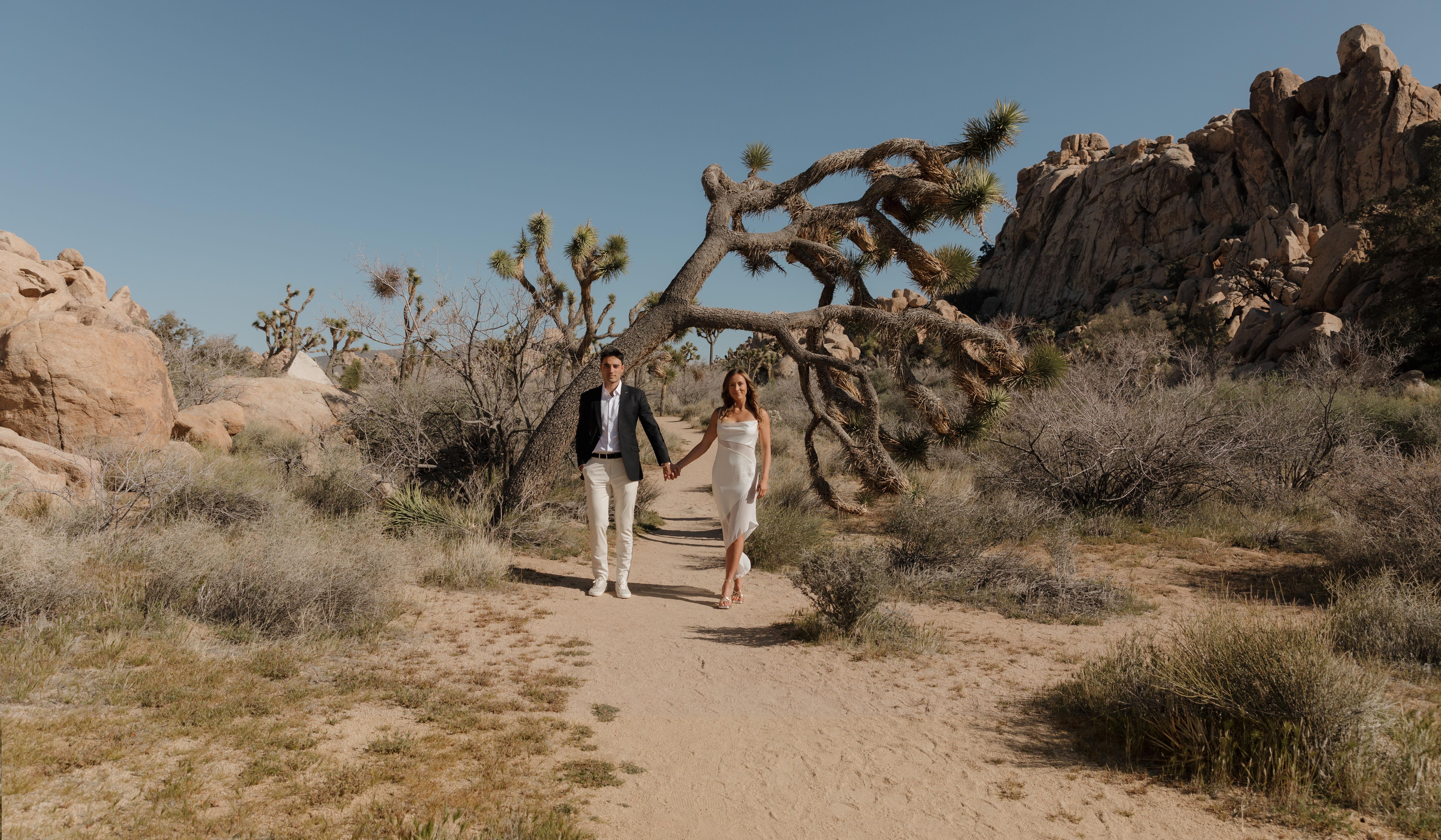 Hero Slideshow Image 2