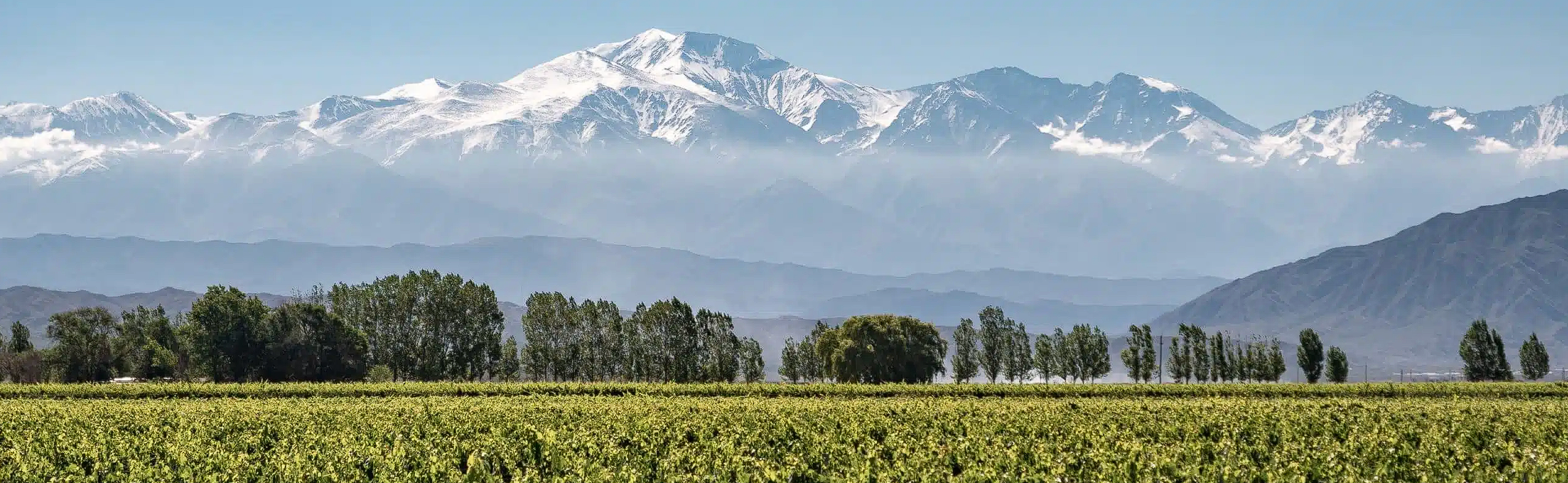 cb180027-9669-4017-8f5e-f1bd86263abb