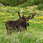 Little Cottonwood Canyon
