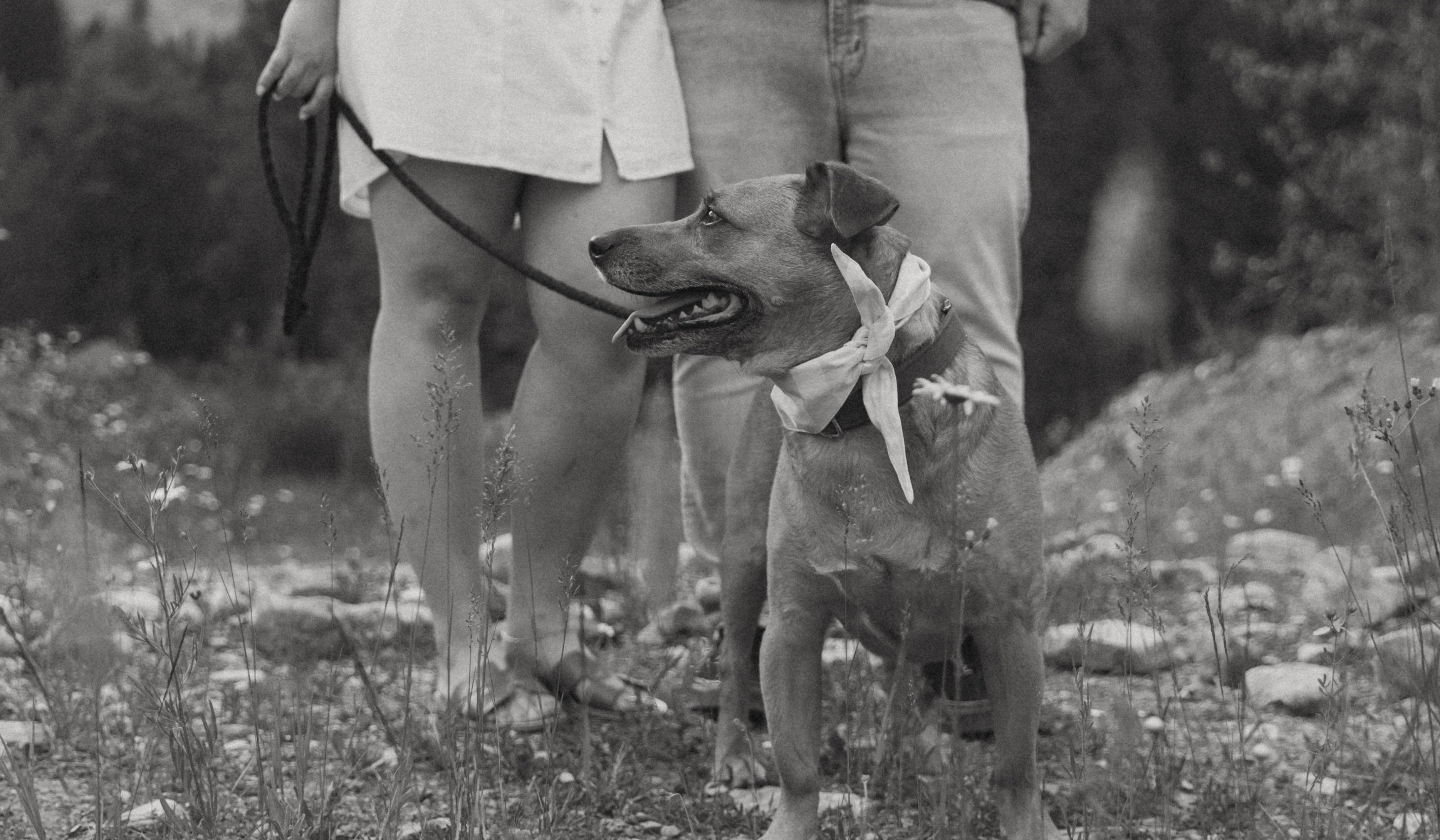 Hero Slideshow Image 1