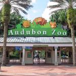 Audubon Zoo