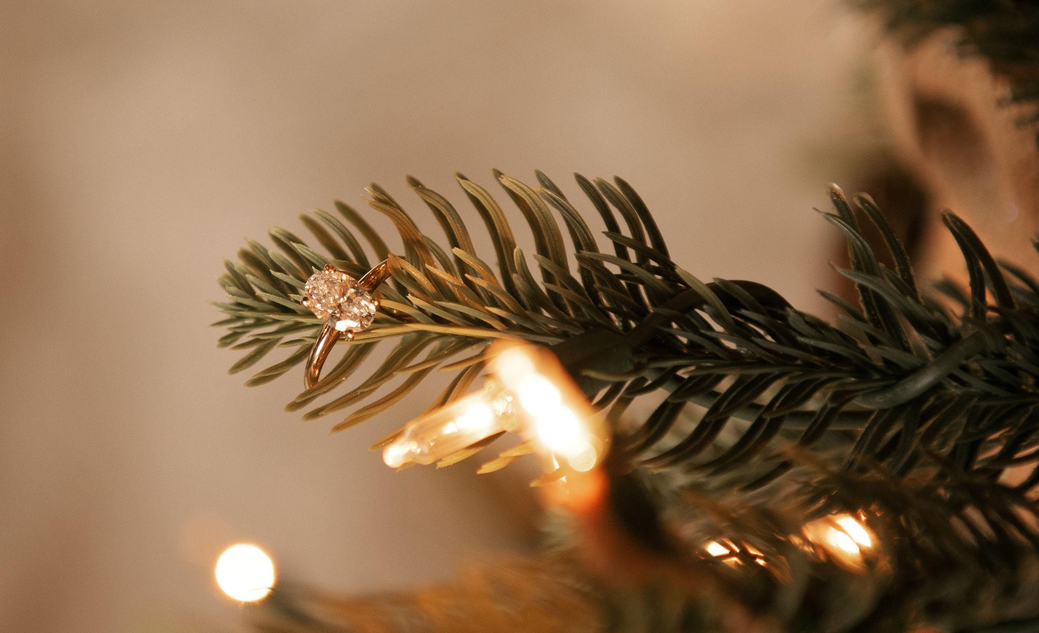 The Wedding Website of Bailey Asmus and Tristen Peugh