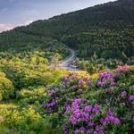 Carvers Gap Hike - Roan Mountain