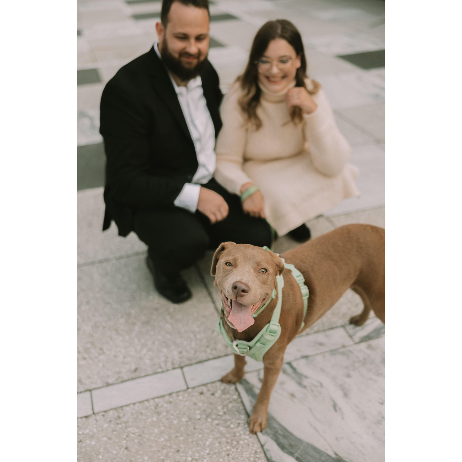 Engagement photos