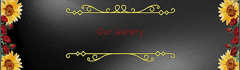 The Wedding Website of Kimberlee Calvert and Jackson Calvert