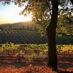 Apple Hill | High Hill Ranch