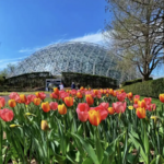 Missouri Botanical Garden