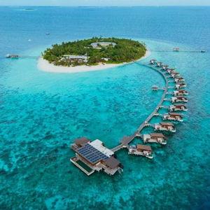 Honeymoon