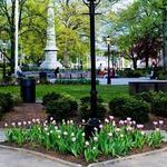 Downtown Morristown