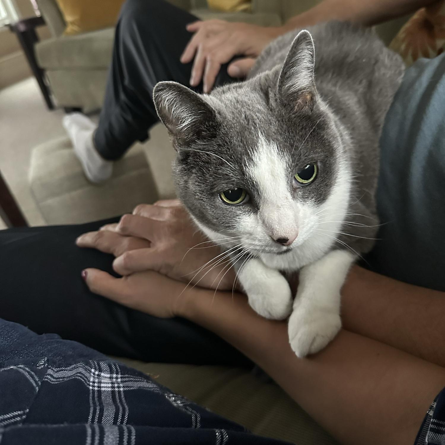 The best chaperone, Molly always curled up between us.