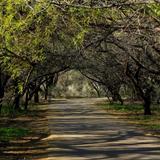 Agua Caliente Regional Park
