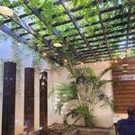 Elevation Coffee