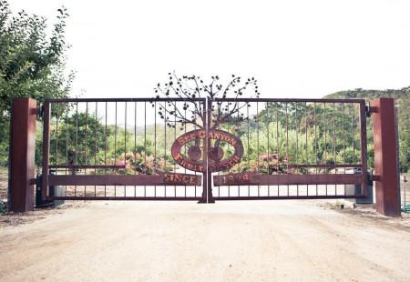 The Wedding Website of Joshua Choi and Susie Mayer