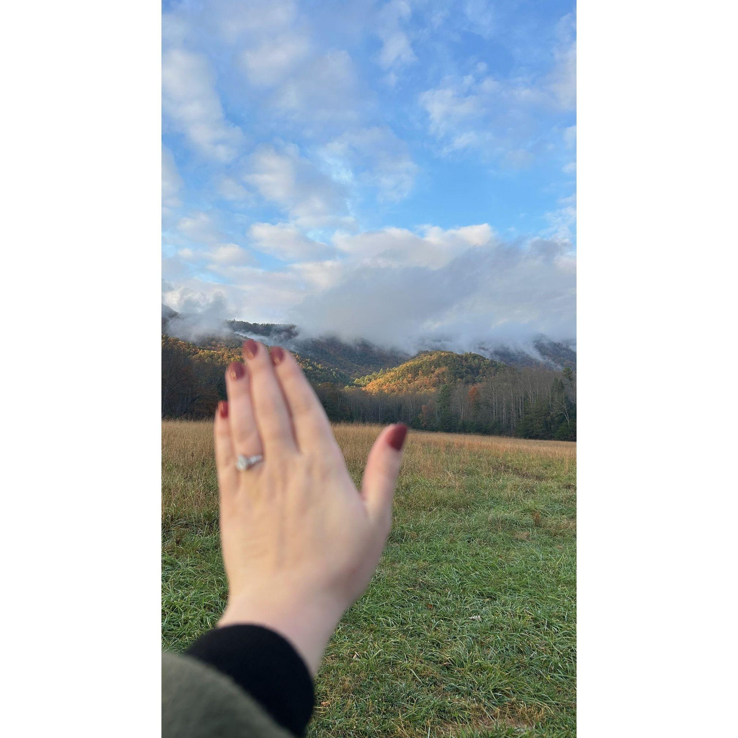 Engaged at Great Smoky Mountain National Park!