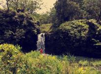 Hana Highway