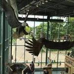 National Eagle Center