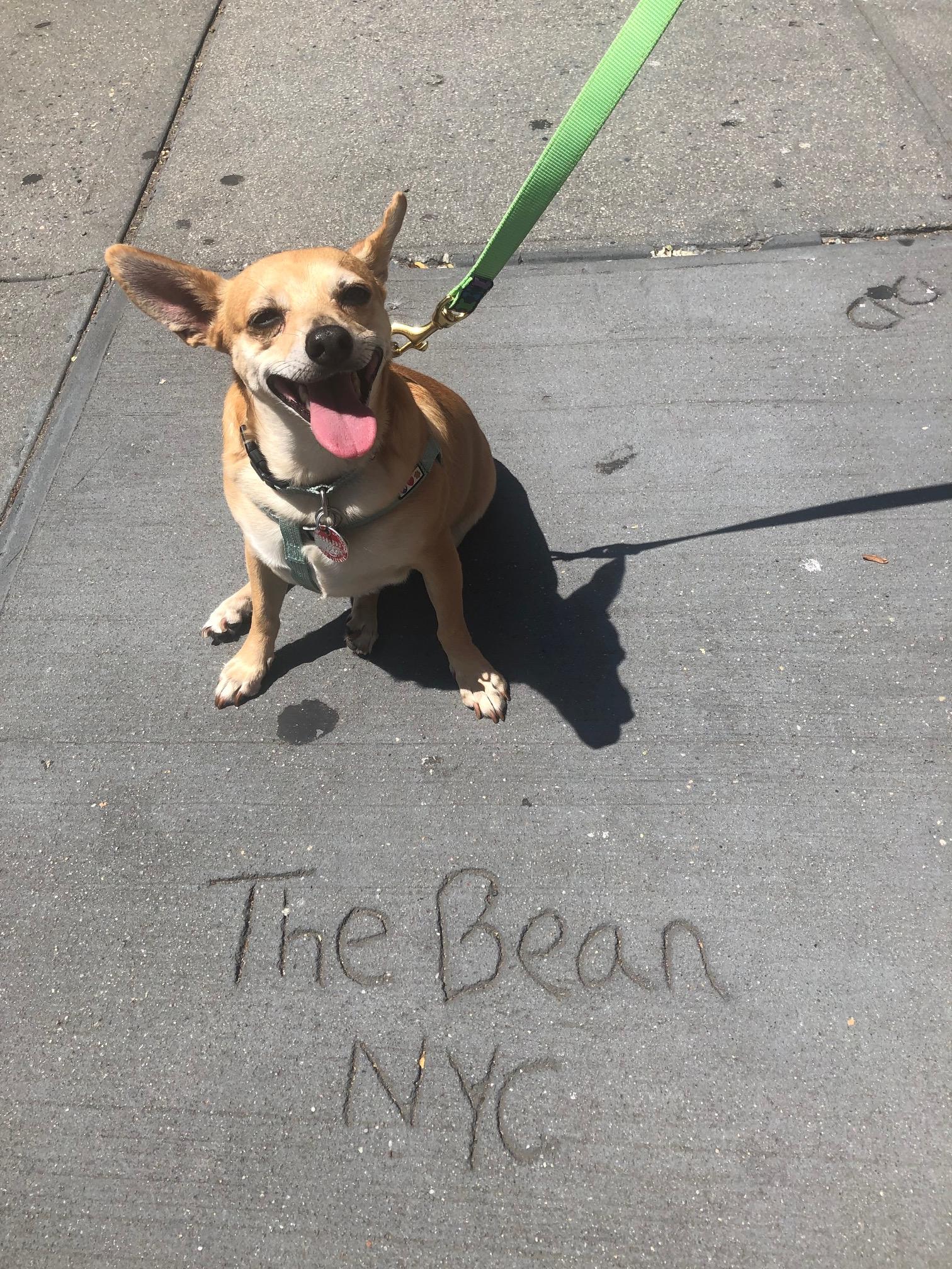 The Wedding Website of Madelaine Hahn and Wilson Johnson