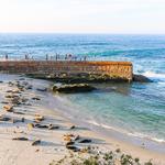 Children's Pool La Jolla