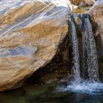 Tahquitz Canyon