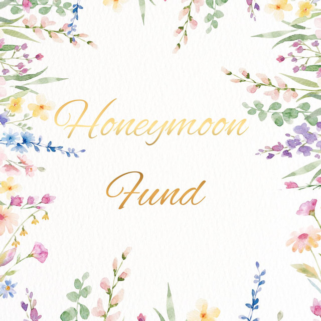 Our Honeymoon Fund