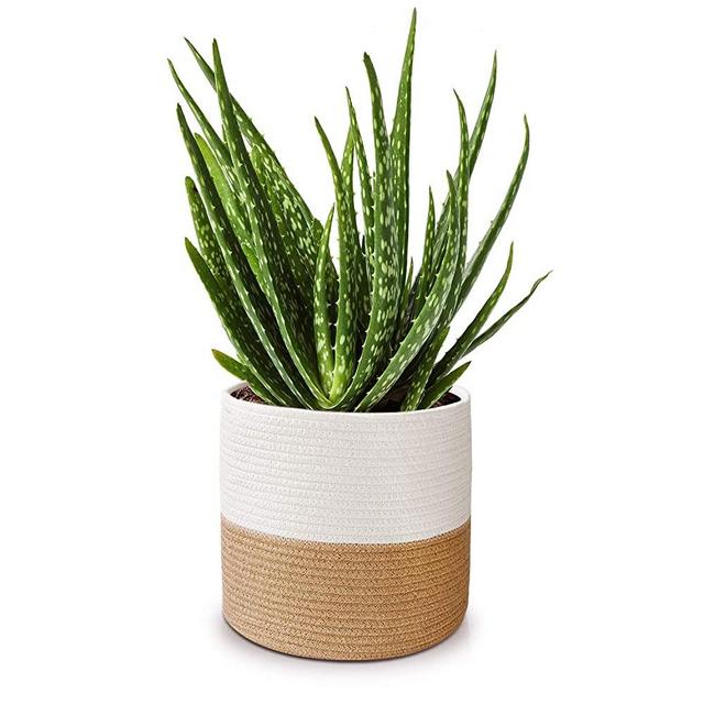 Cotton Rope Plant Basket for 10" Planter/Flower Pot, Woven Basket, Storage Basket Organizer Modern Home Décor, 11” x 11”