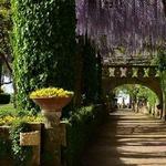 Villa Cimbrone Gardens