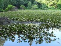 Sandy Creek Nature Center