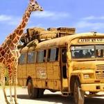 Africam Safari