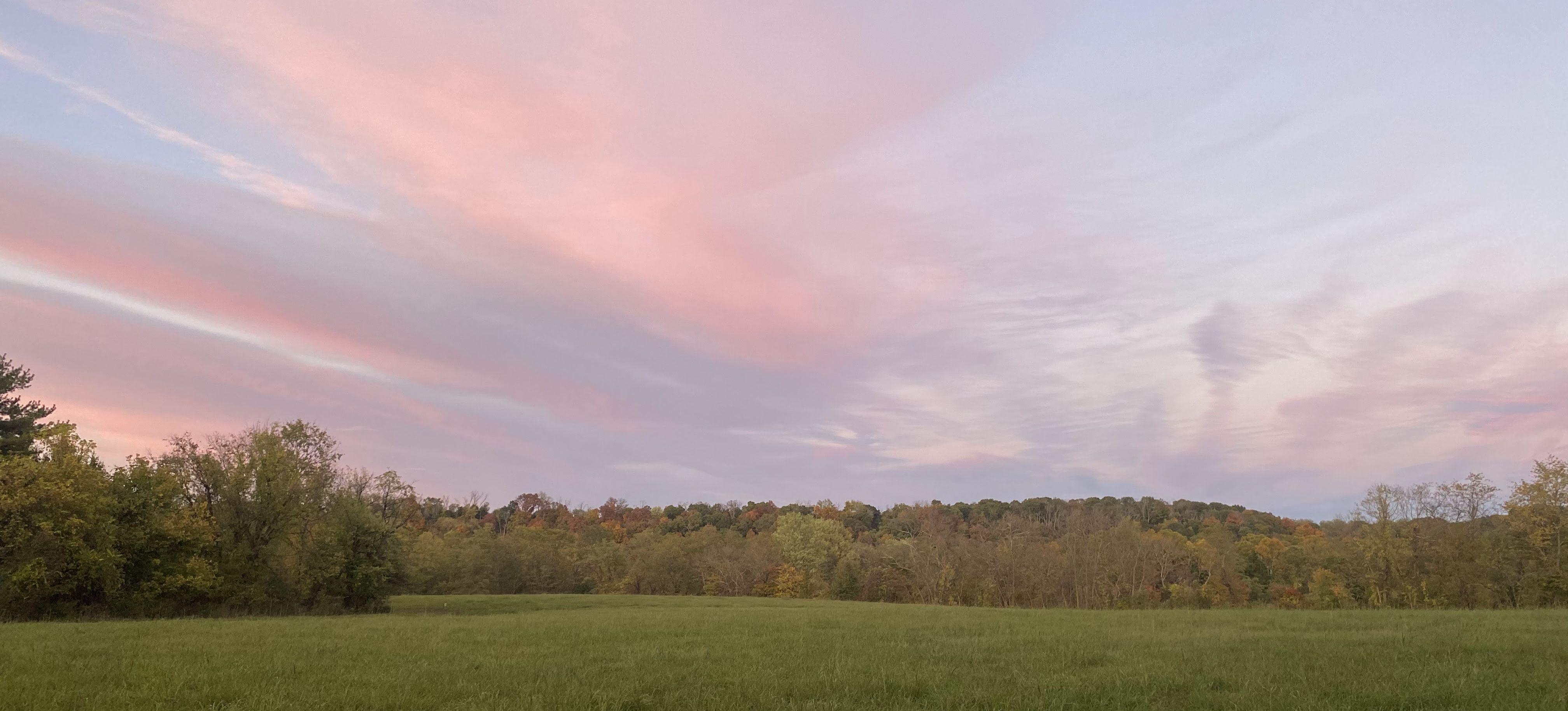 The Wedding Website of Isabel Osorio and Caedmon DelVecchio