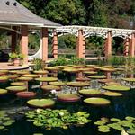 Huntsville Botanical Garden