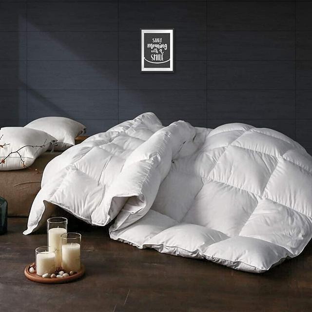 APSMILE Heavyweight Goose Down Comforter for Colder Weather/Sleeper - Ultra-Soft Egyptian Cotton, 750FP 65oz Thicker Winter Duvet Inserts (King, White)