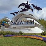 SeaWorld Orlando