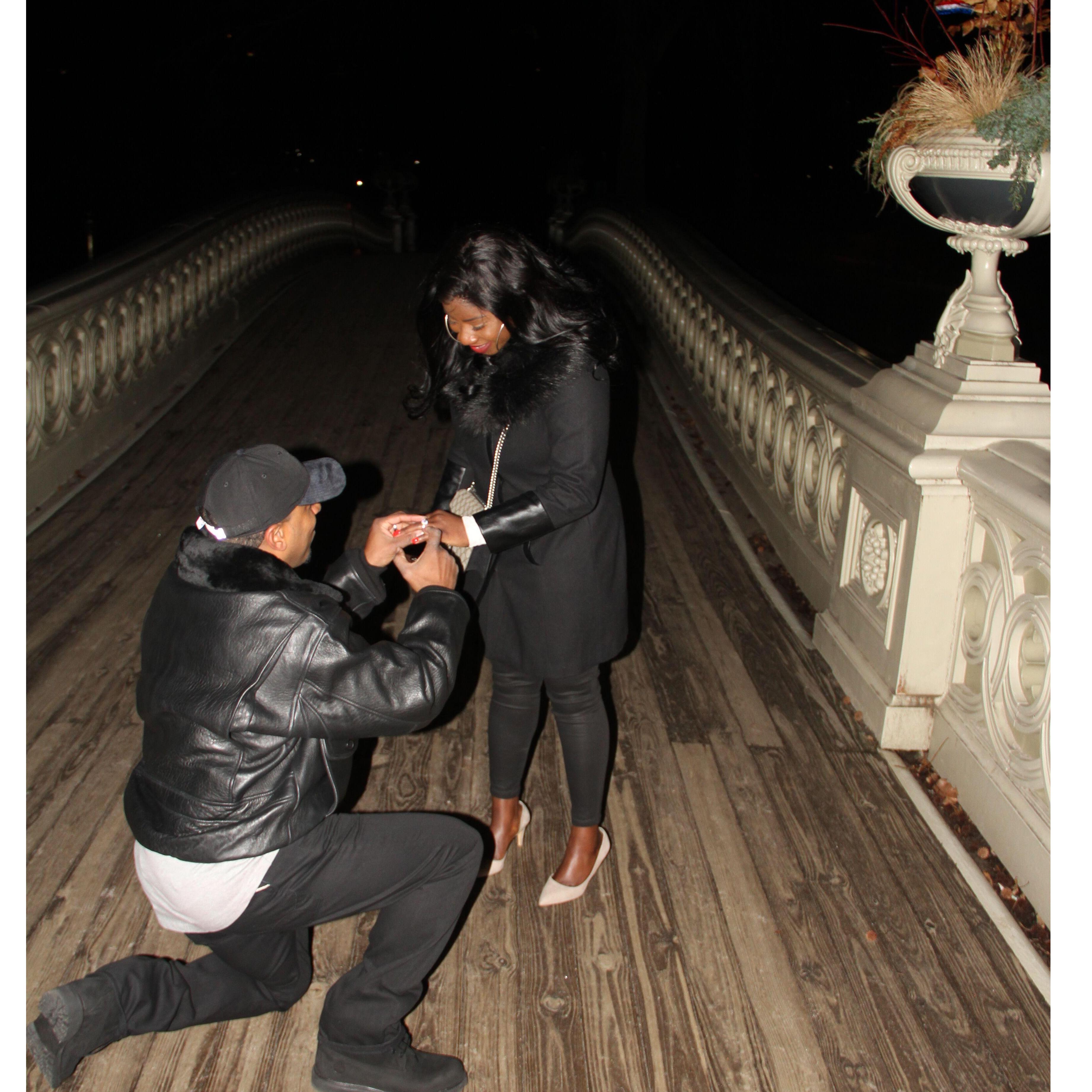 I said YESSSS