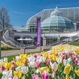 Phipps Conservatory and Botanical Gardens