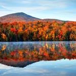 Leaf Peeping in Litchfield hills