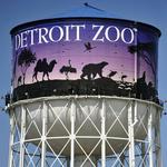Detroit Zoo