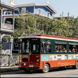 Trolley Tours