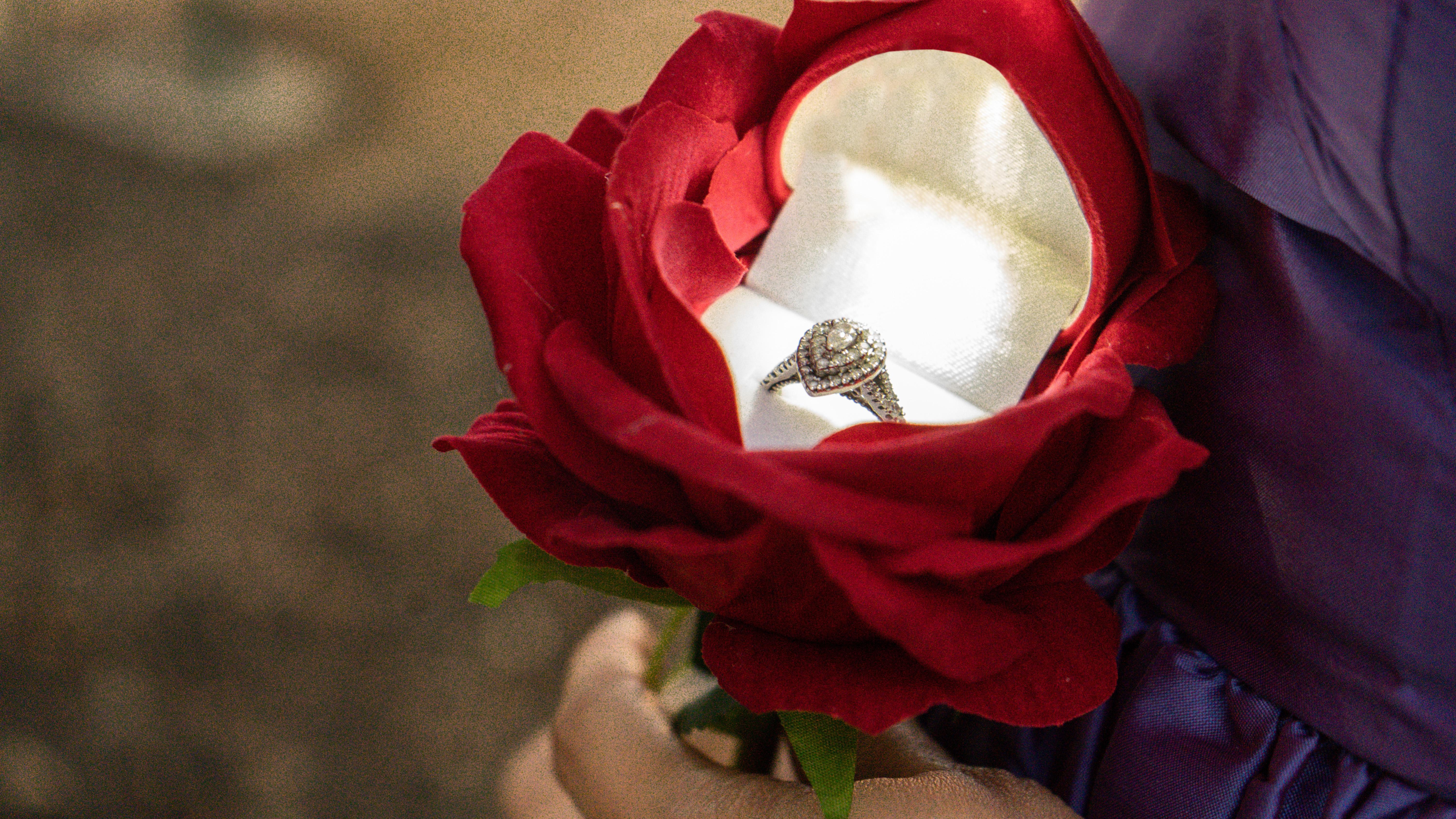 The Wedding Website of Jake Lehman and Elena Lehman