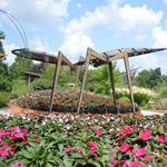 Botanical Garden of the Ozarks