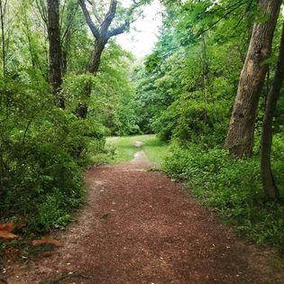 The Wedding Website of Alice Reynolds and Thomas Farrell