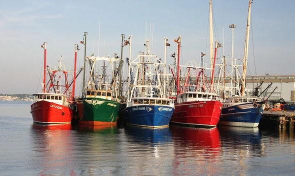 The Wedding Website of Becca Mardesich and Kate Thomas