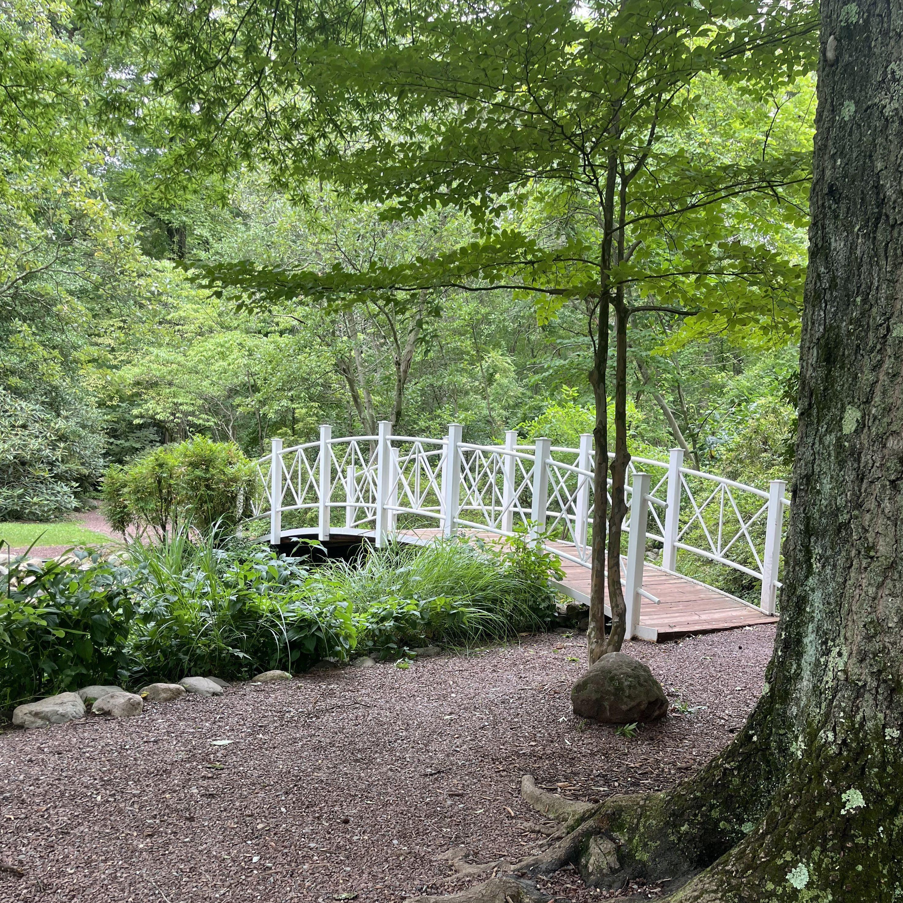 Sayen Botanical Gardens, where Jeremy proposed to Coleen.