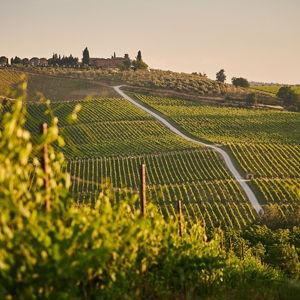 Day trip to the Tuscan countryside