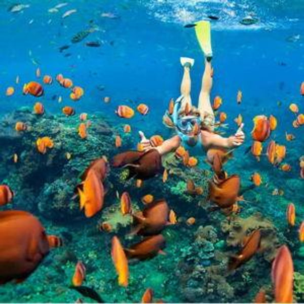 Snorkeling Excursion
