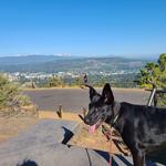 Pilot Butte