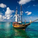 Jolly Pirates Sailing Cruises & Snorkeling