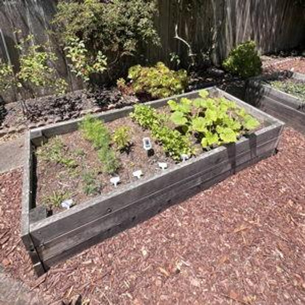 Seeds for Dan's Garden