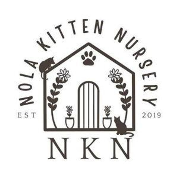 NOLA Kitten Nursery