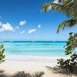 Captain Gringo - Saona Island Excursions