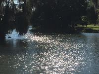 City Park
